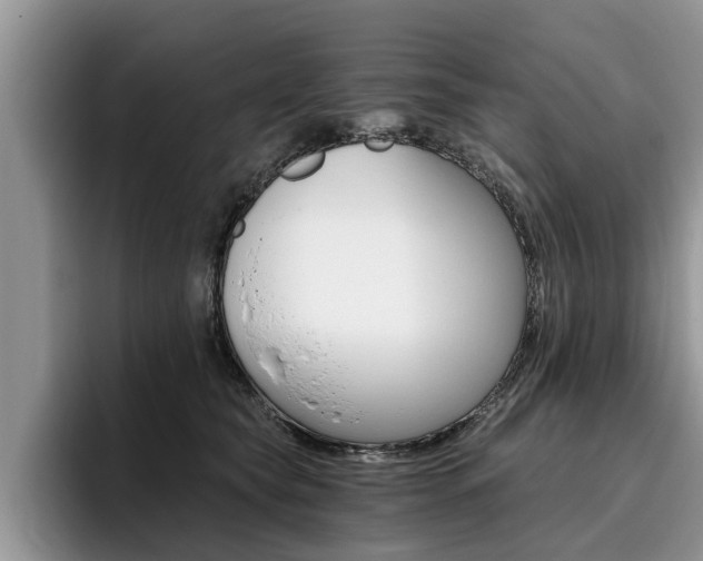 X0000096180565200801180852