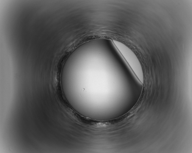 X0000096180566200801180852