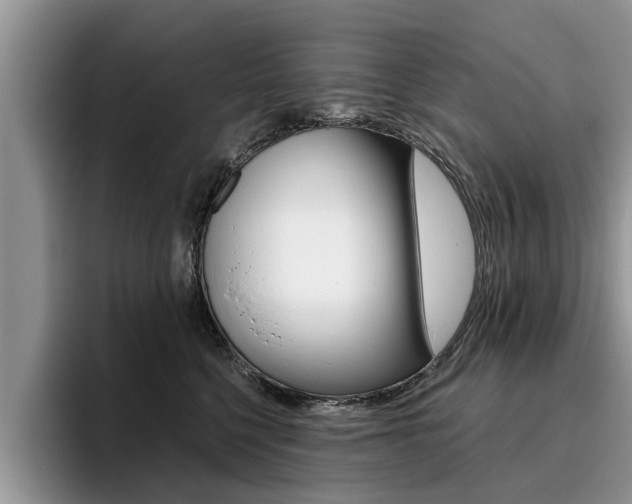 X0000096180568200801180852