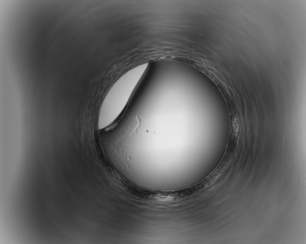 X0000096180570200801180852