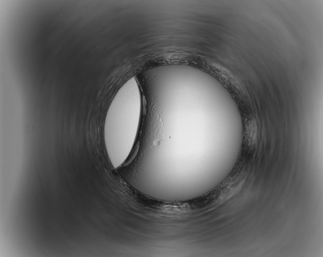 X0000096180571200801180852
