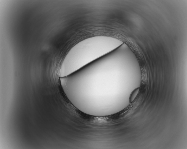X0000096180573200801180853