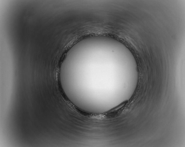 X0000096180576200801180853