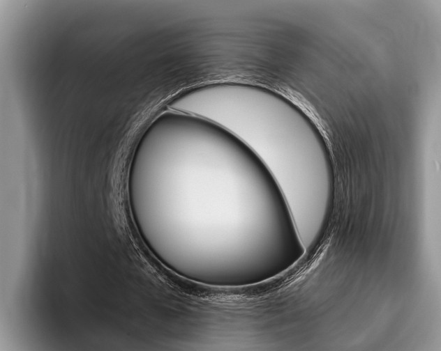 X0000096180577200801180852