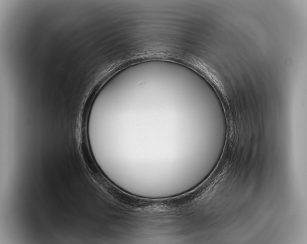 X0000096180578200801180852
