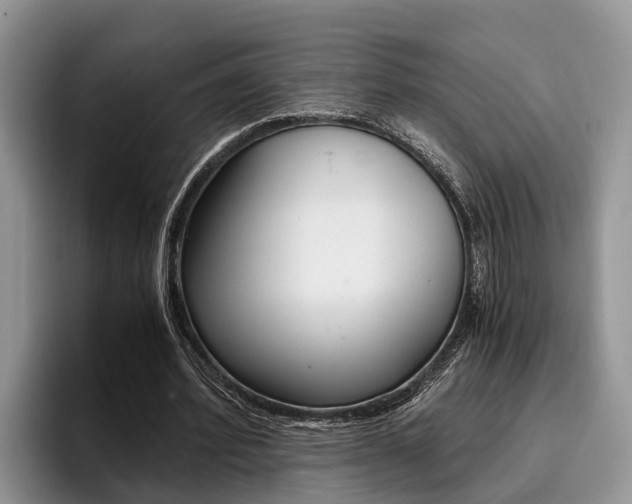 X0000096180580200801180852