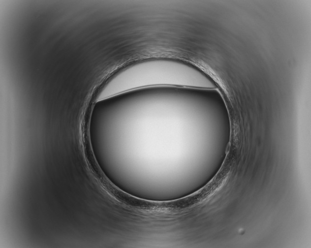 X0000096180581200801180852