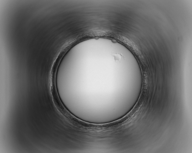 X0000096180582200801180852