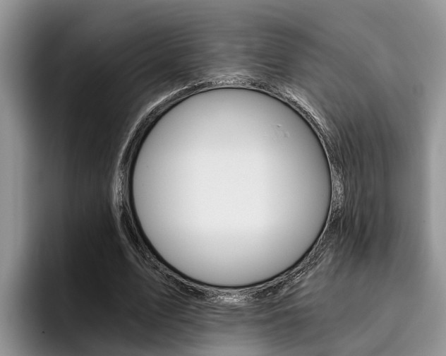 X0000096180583200801180852
