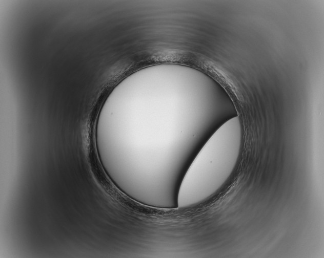 X0000096180586200801180852