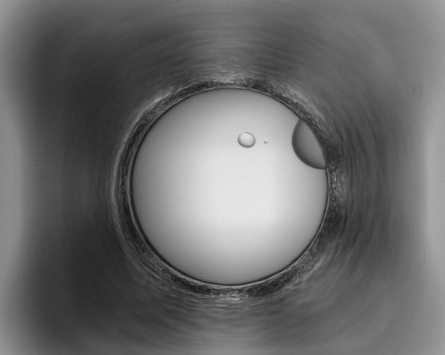 X0000096180587200801180852