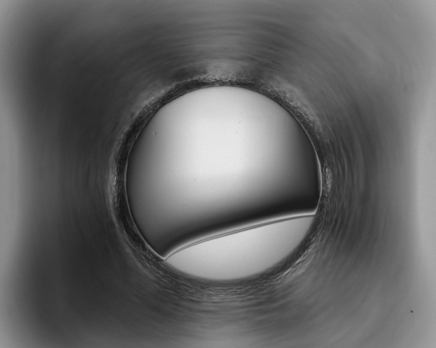 X0000096180588200801180852