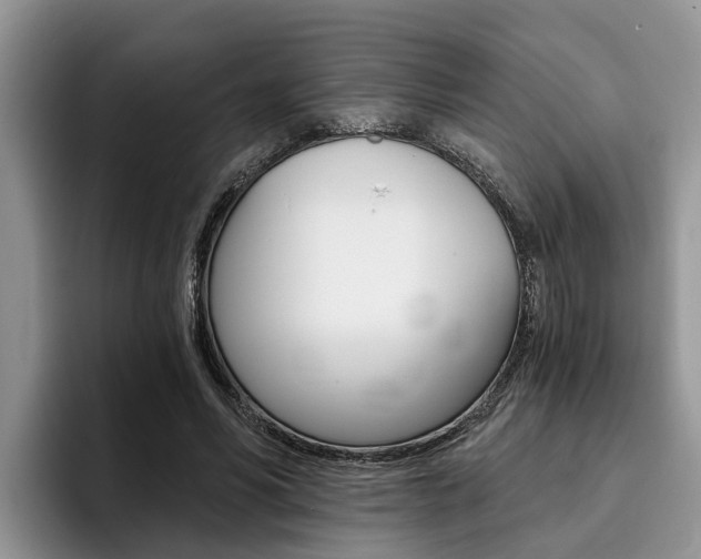 X0000096180590200801180852