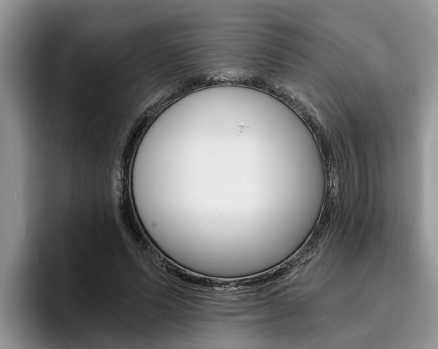 X0000096180591200801180852