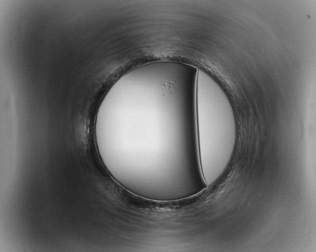 X0000096180592200801180852
