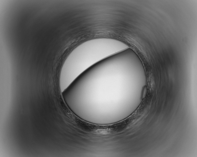 X0000096180595200801180852