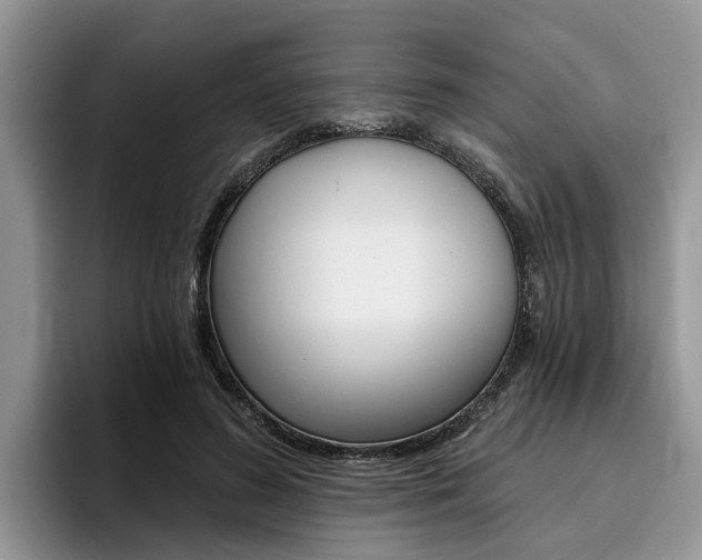 X0000096180596200801180852