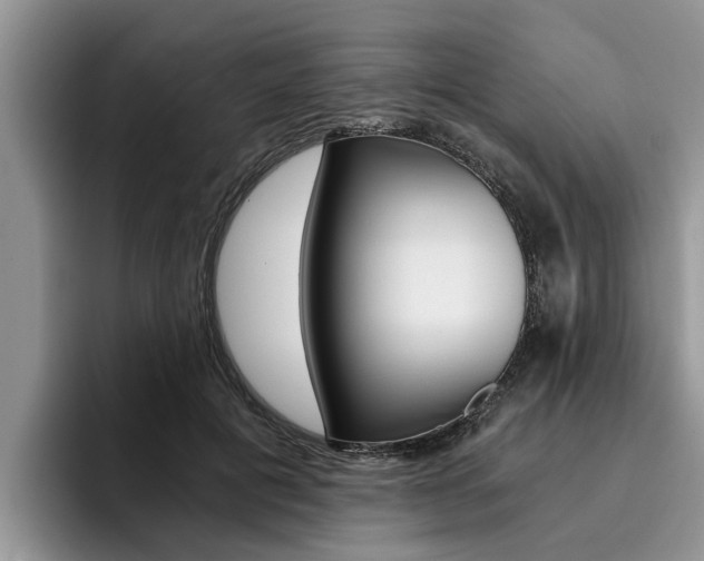 X0000096180601200801180852