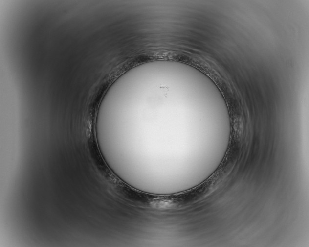 X0000096180602200801180852