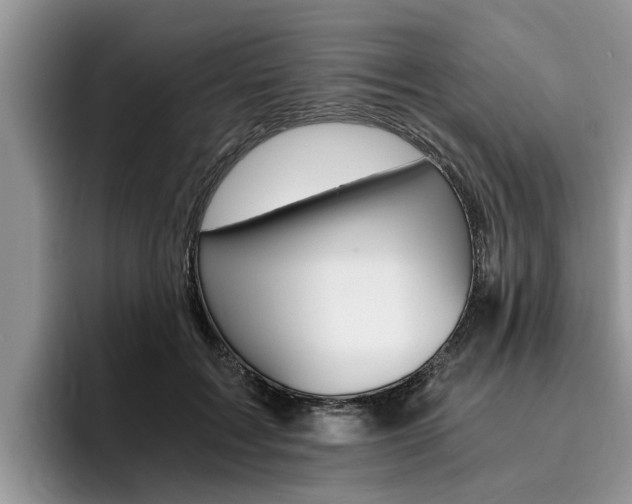 X0000096180603200801180852