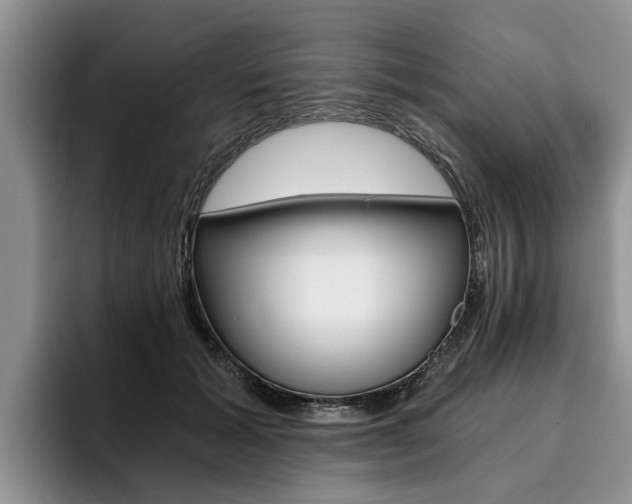 X0000096180605200801180852