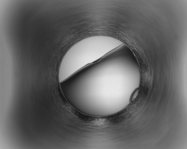 X0000096180609200801180852