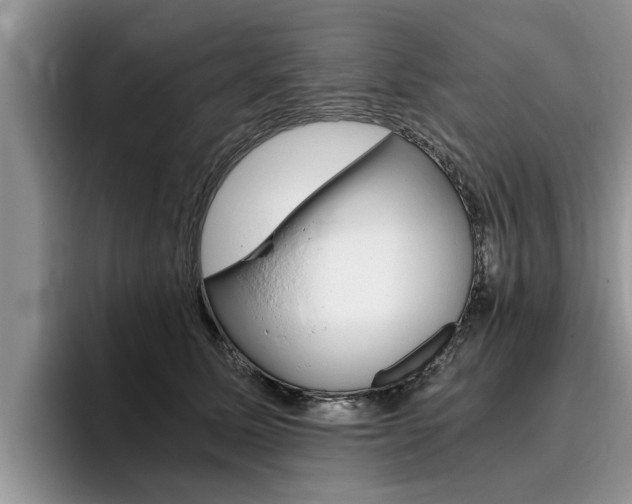 X0000096180611200801180851