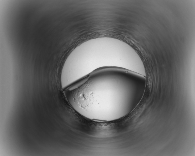 X0000096180613200801180851