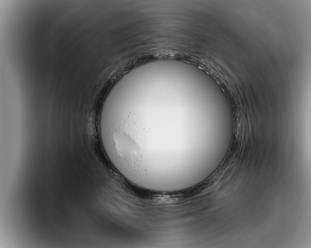X0000096180616200801180851