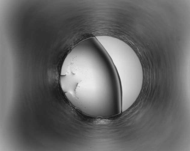 X0000096180617200801180851