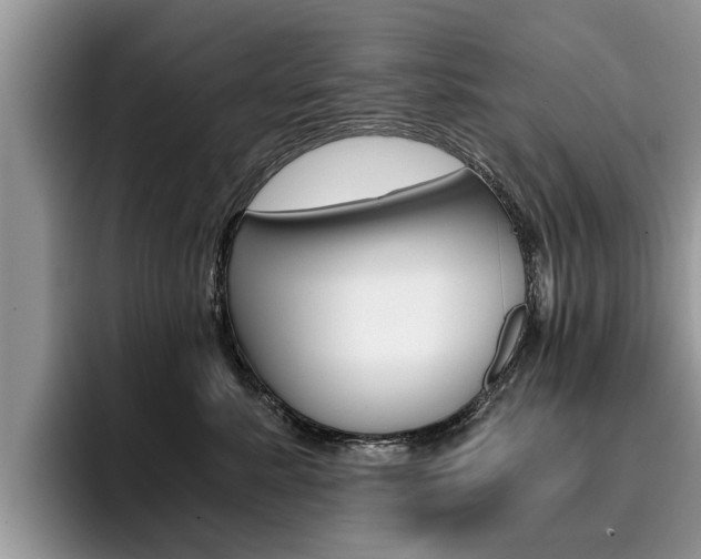 X0000096180619200801180851
