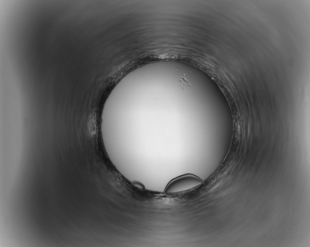 X0000096180620200801180851