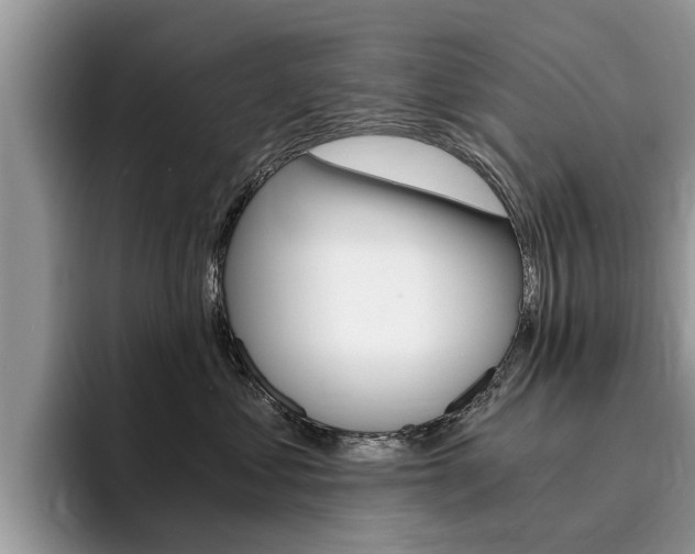 X0000096180621200801180851