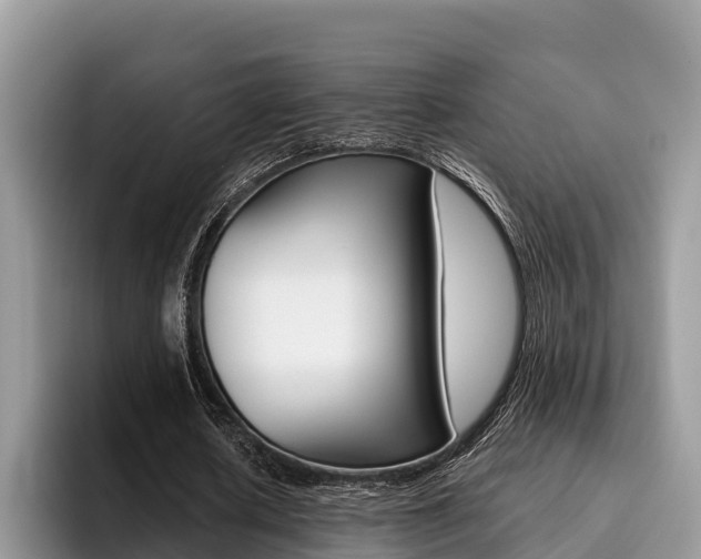 X0000096180626200801180851