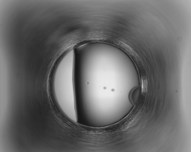 X0000096180627200801180851
