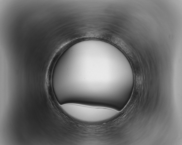 X0000096180628200801180851