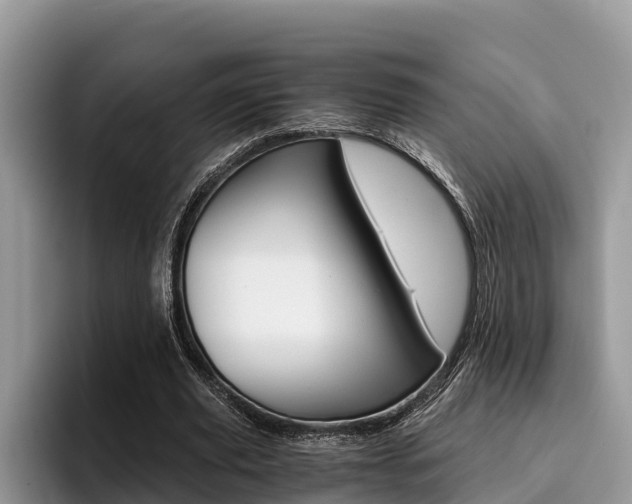 X0000096180629200801180851