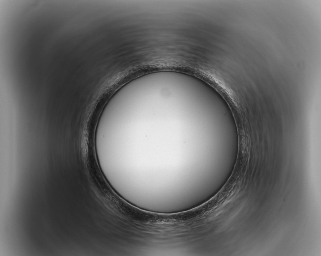 X0000096180631200801180851