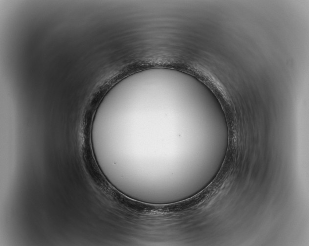 X0000096180635200801180851