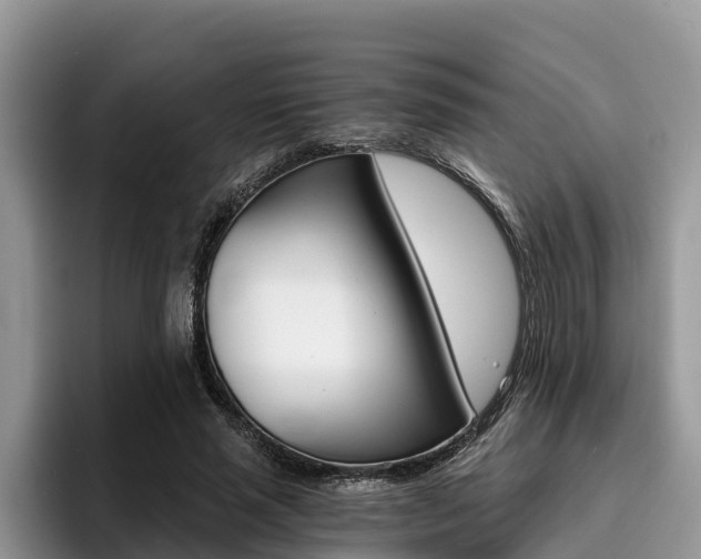 X0000096180637200801180851