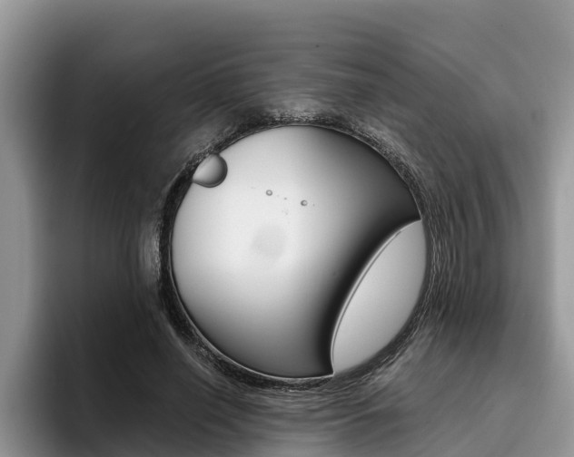 X0000096180638200801180851