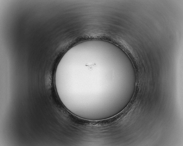 X0000096180640200801180851