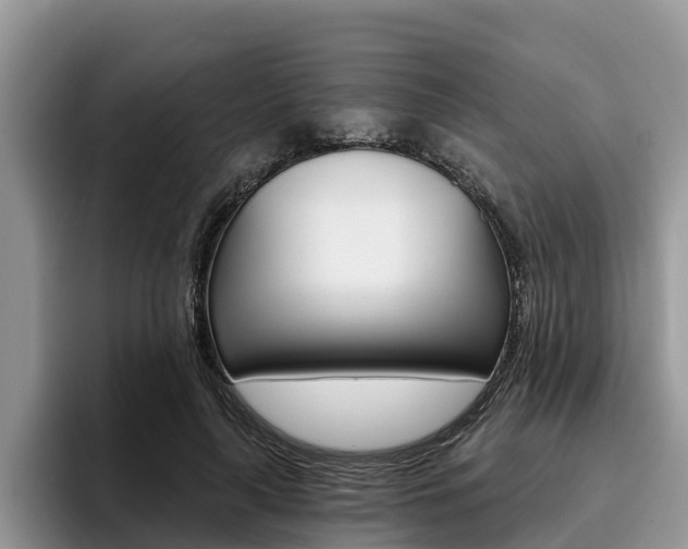 X0000096180643200801180851