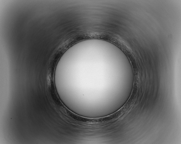 X0000096180644200801180851