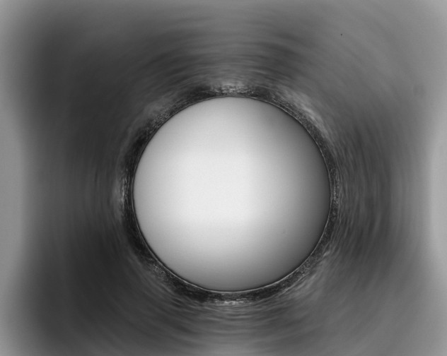 X0000096180645200801180851