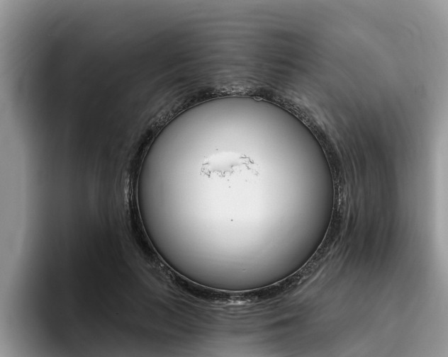 X0000096180647200801180851