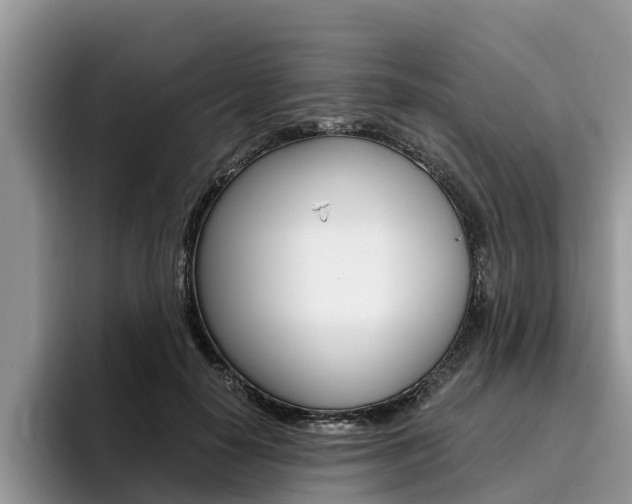 X0000096180650200801180851