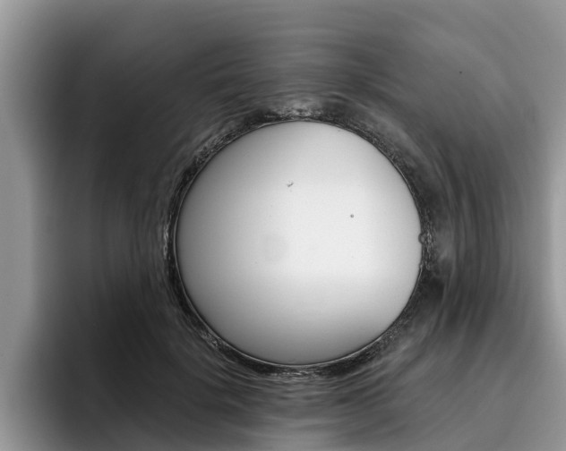 X0000096180652200801180851