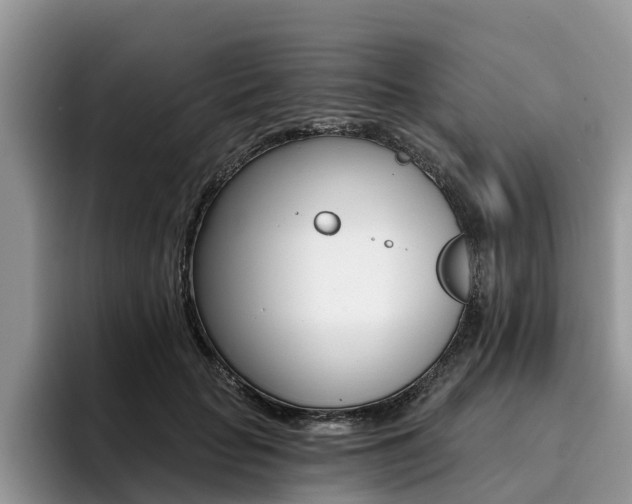 X0000096180653200801180851