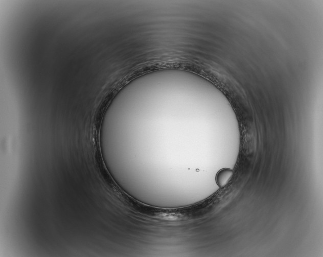 X0000096180654200801180851